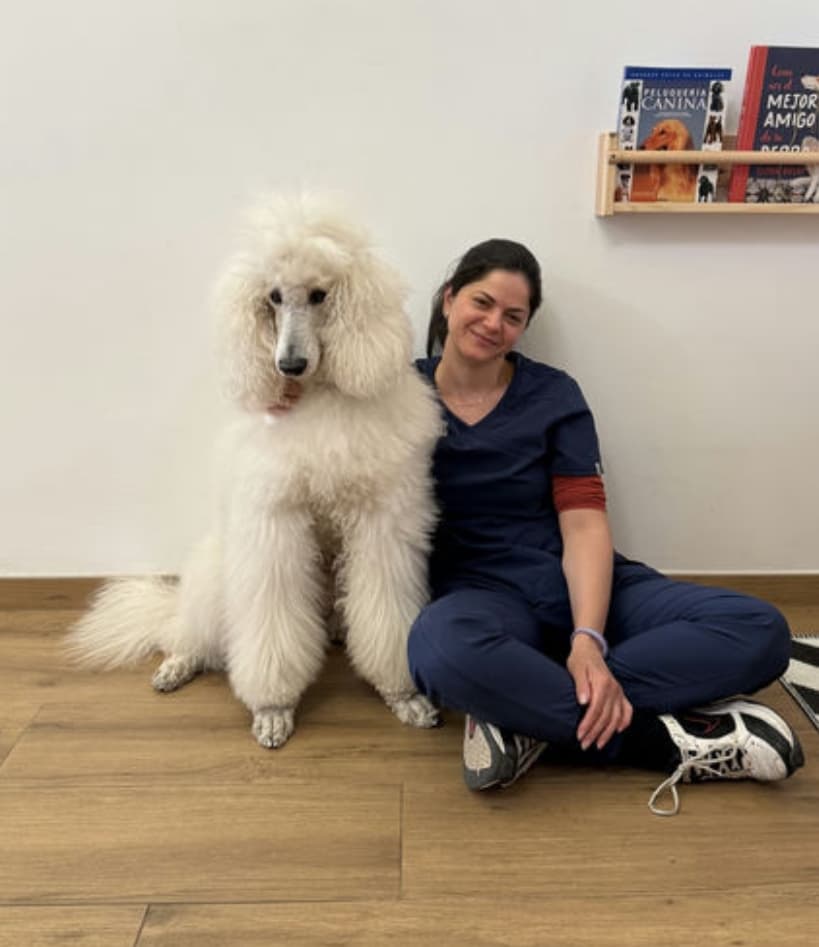 Claudia Veterinarians Santa Coloma de Gramenet, 4 reviews Claudia Veterinarians Santa Coloma de Gramenet, 4 reviews